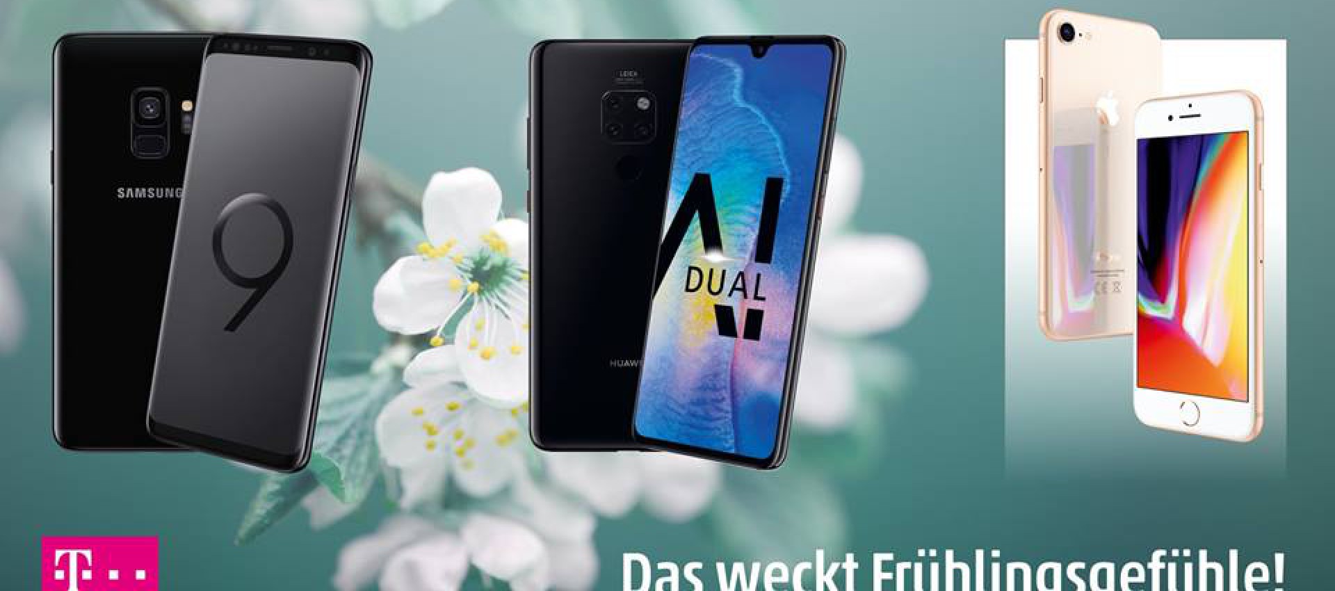 Unser Frühlingsspecial nur für Euch!